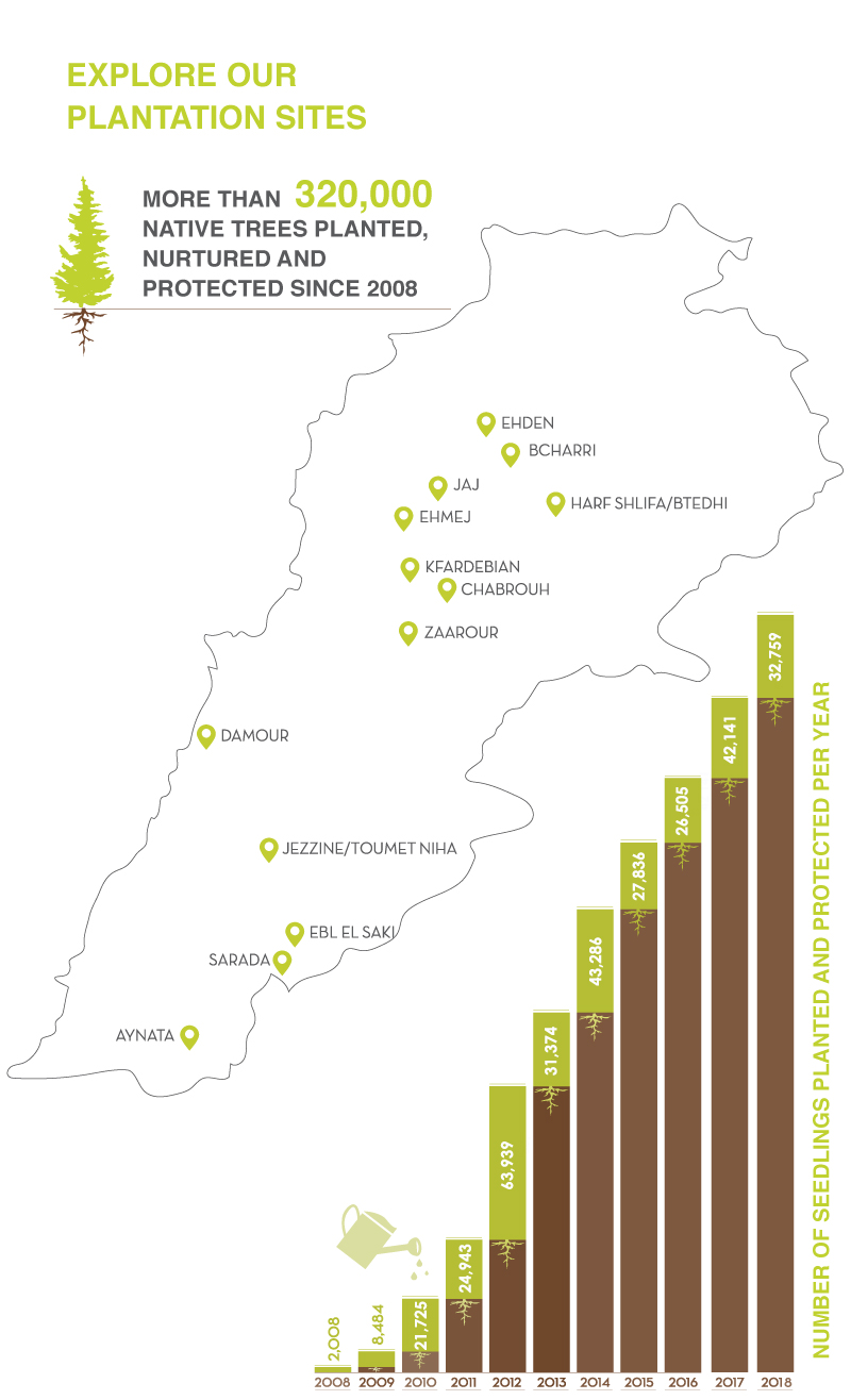 Number of trees nurtured and protected per year